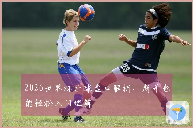 2026世界杯让球盘口解析，新手也能轻松入门理解