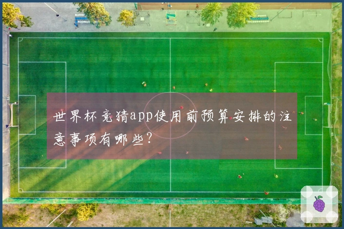 世界杯竞猜app使用前预算安排的注意事项有哪些？