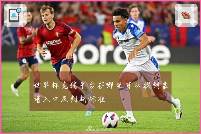 世界杯竞猜平台在哪里可以找到靠谱入口及判断标准