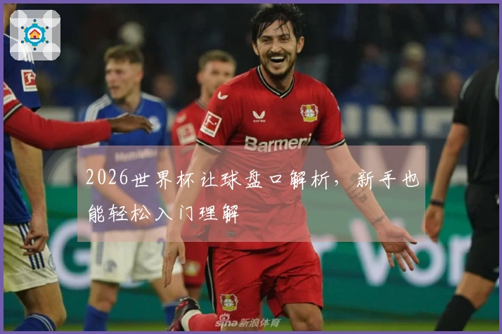 2026世界杯让球盘口解析，新手也能轻松入门理解